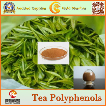 Fabrik-Versorgungsmaterial-natürlicher grüner Tee-Auszug Tee-Polyphenole
